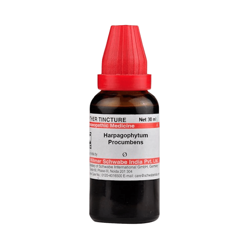 Dr Willmar Schwabe India Harpagophytum Procumbens Mother Tincture Q