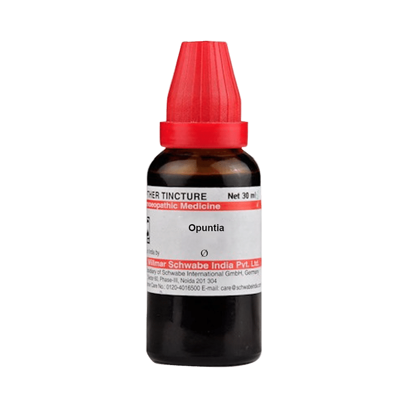 Dr Willmar Schwabe India Opuntia Vulgaris Mother Tincture Q