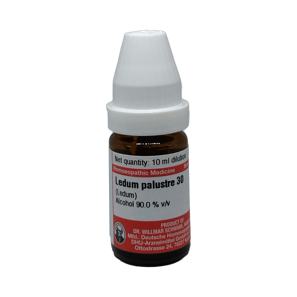 Dr Willmar Schwabe Germany Ledum Palustre Dilution 30