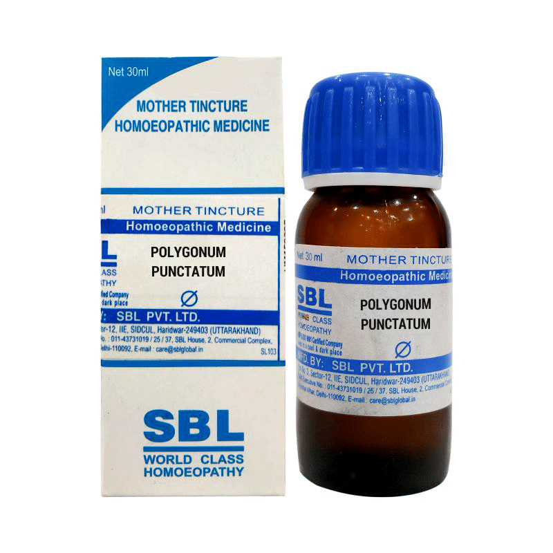 SBL Polygonum Punctatum Mother Tincture Q