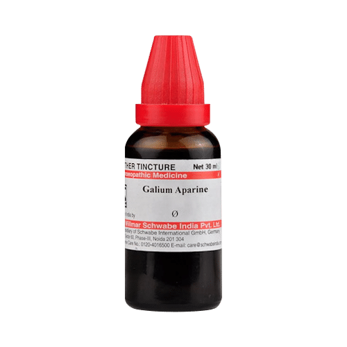 Dr Willmar Schwabe India Galium Aparine Mother Tincture Q