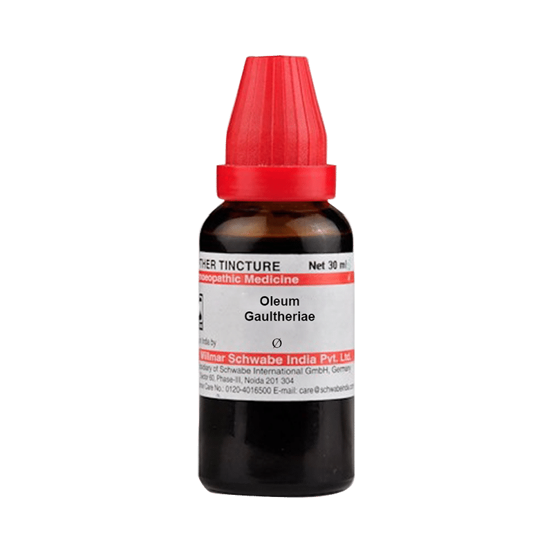 Dr Willmar Schwabe India Oleum Gaultheriae Mother Tincture Q