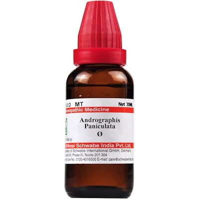 Dr Willmar Schwabe India Andrographis Paniculata Mother Tincture Q