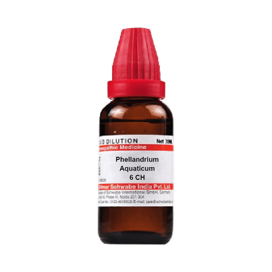 Dr Willmar Schwabe India Phellandrium Aquaticum Dilution 6 CH