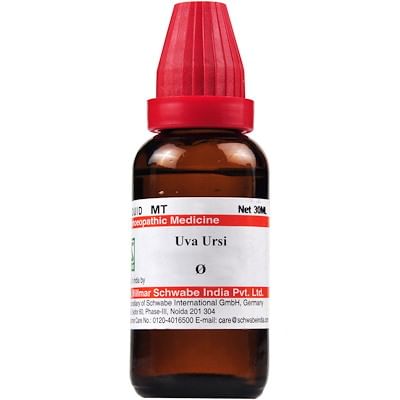 Dr Willmar Schwabe India Uva Ursi Mother Tincture Q