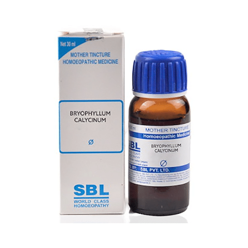 SBL Bryophyllum Calycinum Mother Tincture Q