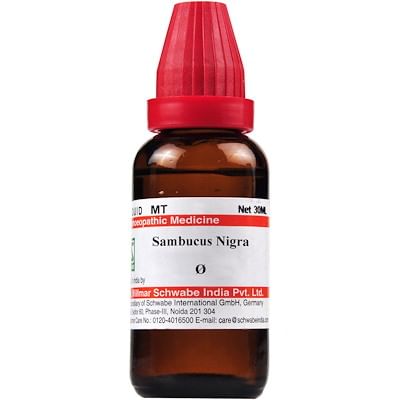 Dr Willmar Schwabe India Sambucus Nigra Mother Tincture Q