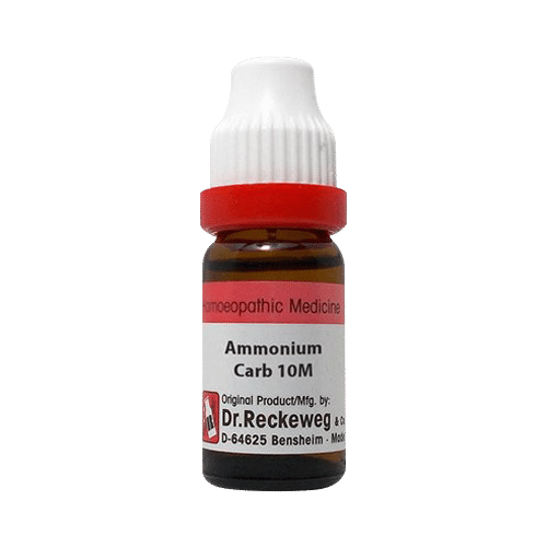 Dr. Reckeweg Ammonium Carb Dilution 10M CH