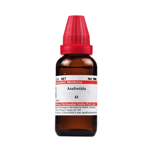 Dr Willmar Schwabe India Asafoetida Mother Tincture Q