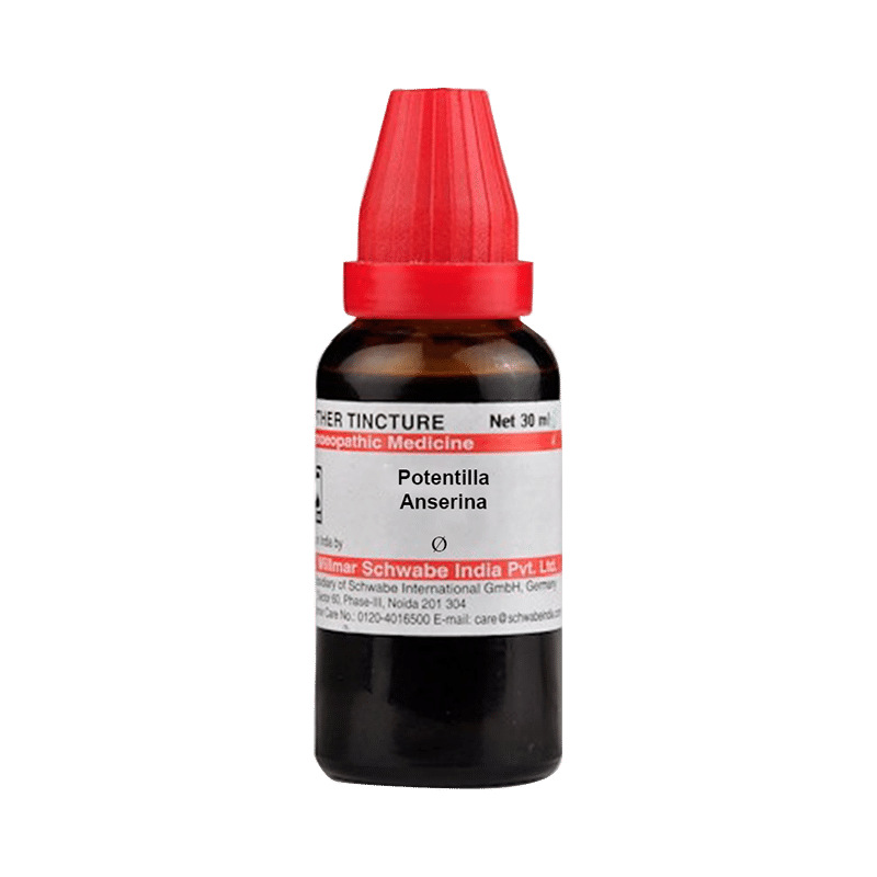 Dr Willmar Schwabe India Potentilla Anserina Mother Tincture Q