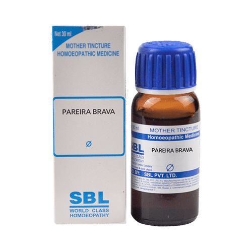 SBL Pareira Brava Mother Tincture Q