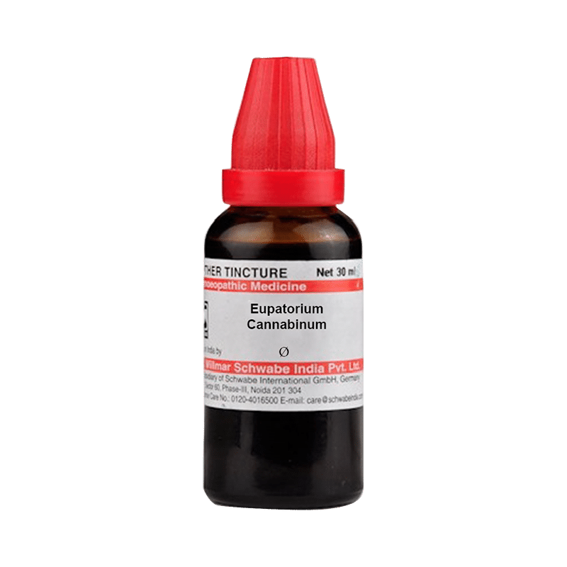 Dr Willmar Schwabe India Eupatorium Cannabinum Mother Tincture Q