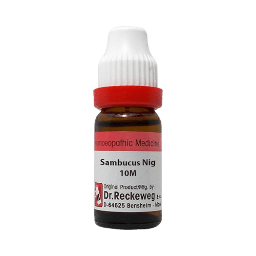 Dr. Reckeweg Sambucus Nig Dilution 10M CH