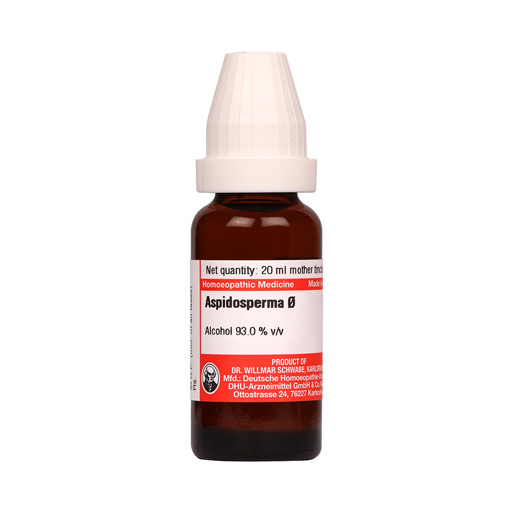 Dr Willmar Schwabe Germany Aspidosperma Mother Tincture Q