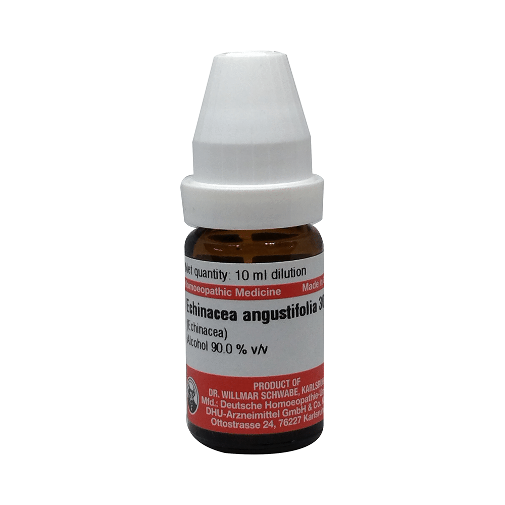 Dr Willmar Schwabe Germany Echinacea Angustifolia Dilution 30