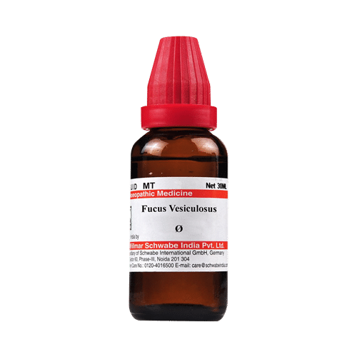 Dr Willmar Schwabe India Fucus Vesiculosus Mother Tincture Q