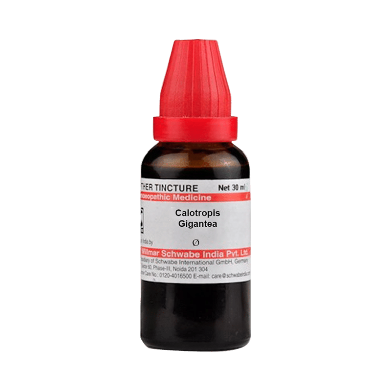 Dr Willmar Schwabe India Calotropis Gigantea Mother Tincture Q