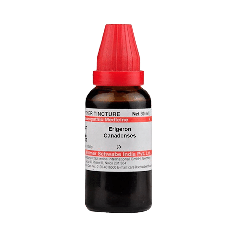 Dr Willmar Schwabe India Erigeron Canadenses Mother Tincture Q