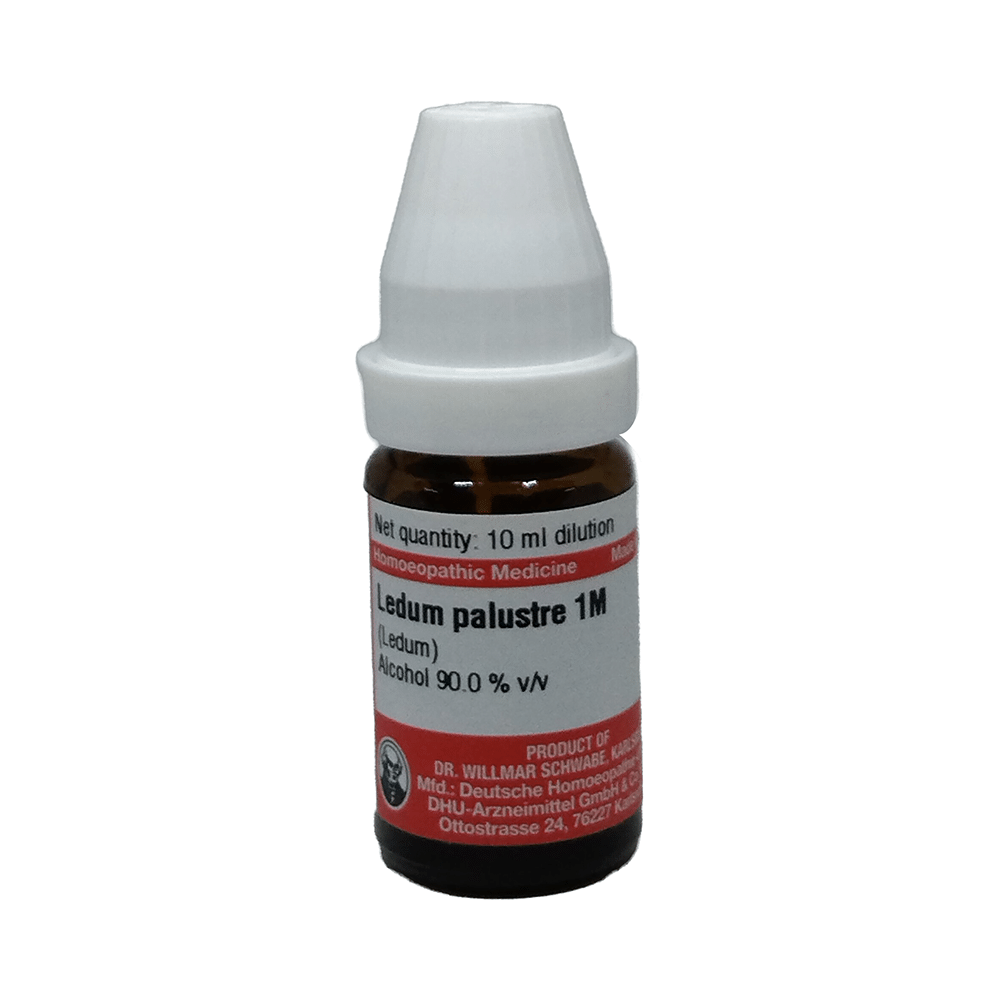 Dr Willmar Schwabe Germany Ledum Palustre Dilution 1M