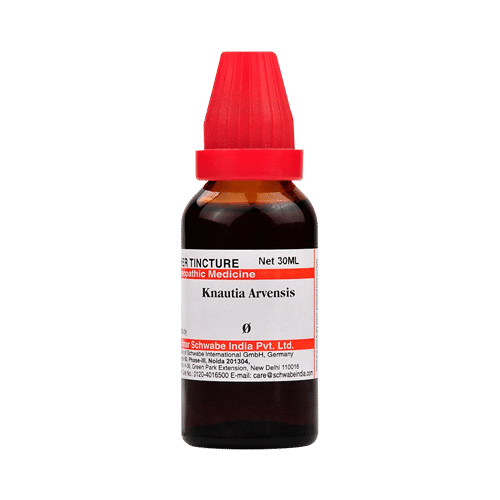 Dr Willmar Schwabe India Knautia Arvensis Mother Tincture Q