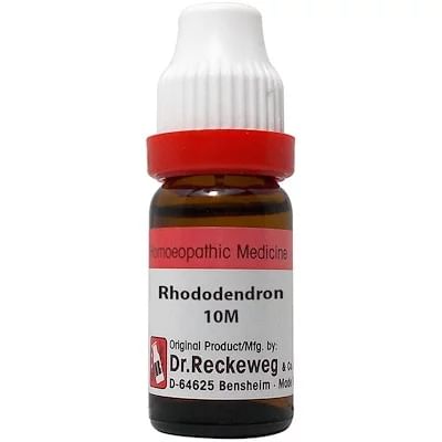 Dr. Reckeweg Rhododendron Dilution 10M CH