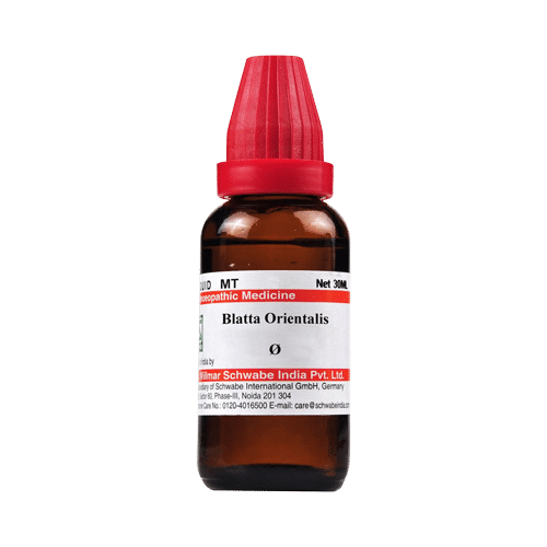 Dr Willmar Schwabe India Blatta Orientalis Mother Tincture Q