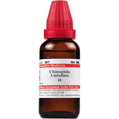 Dr Willmar Schwabe India Chimaphila Umbellata Mother Tincture Q