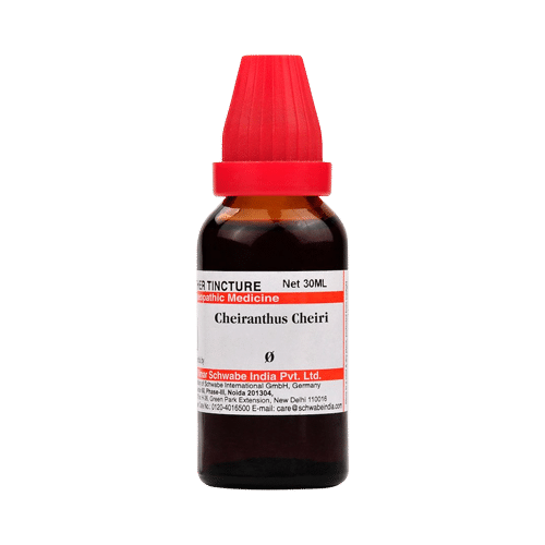 Dr Willmar Schwabe India Cheiranthus Cheiri Mother Tincture Q