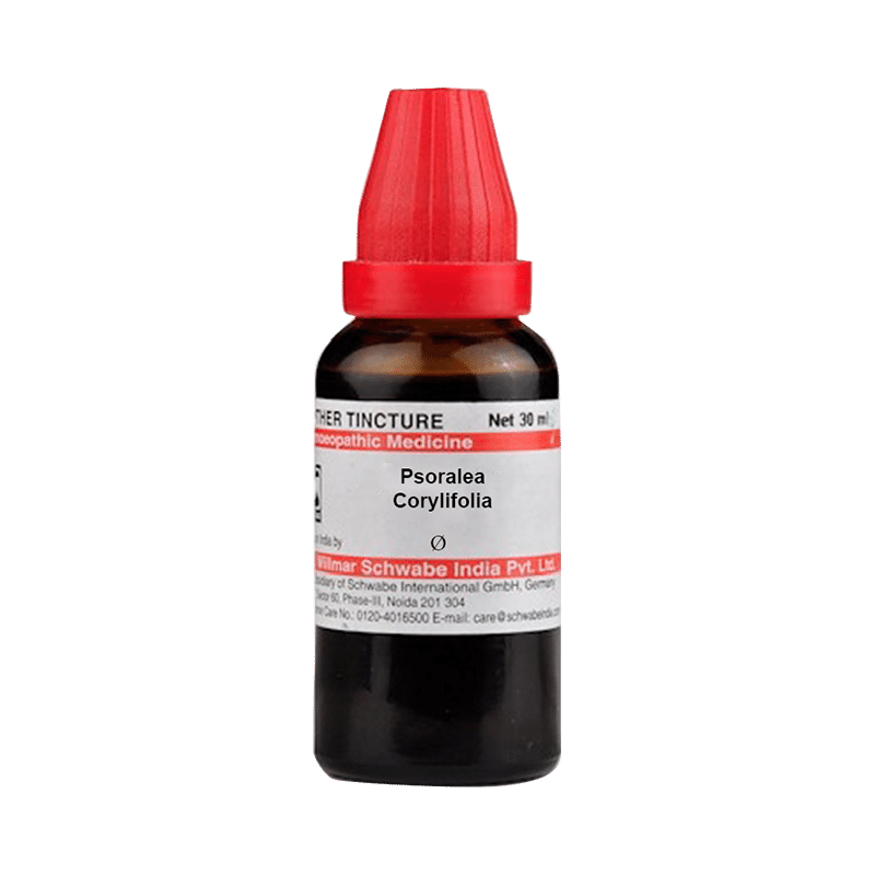 Dr Willmar Schwabe India Psoralea Corylifolia Mother Tincture Q