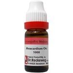 Dr. Reckeweg Anacardium Oc Dilution 1000 CH