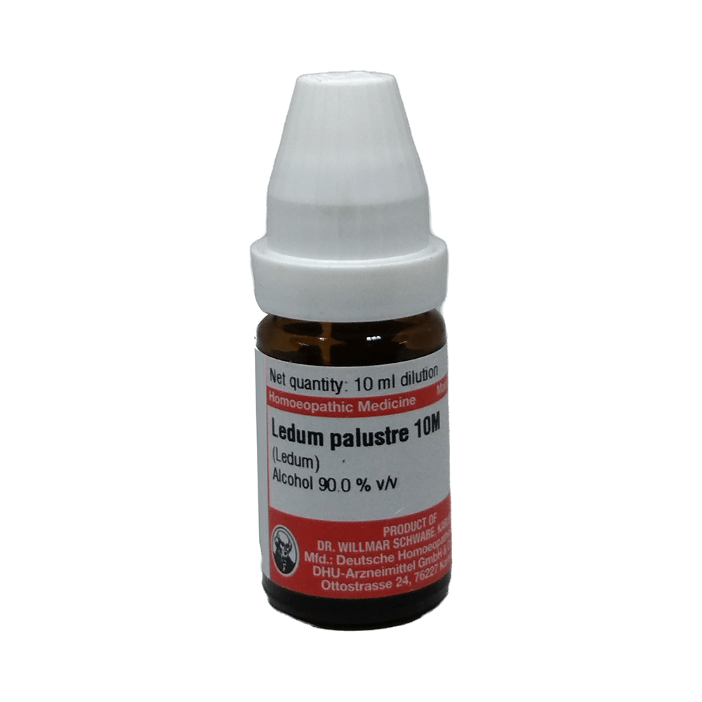 Dr Willmar Schwabe Germany Ledum Palustre Dilution 10M