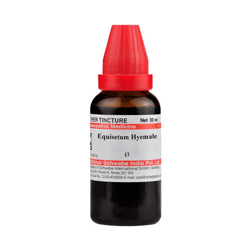 Dr Willmar Schwabe India Equisetum Hyemale Mother Tincture Q