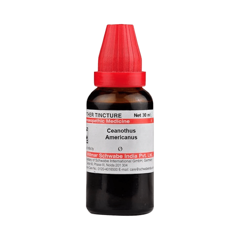 Dr Willmar Schwabe India Ceanothus Americanus Mother Tincture Q