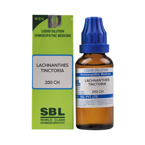 SBL Lachnanthes Tinctoria Dilution 200 CH