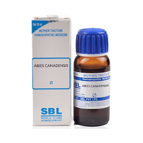 SBL Abies Canadensis Mother Tincture Q