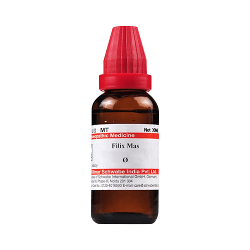 Dr Willmar Schwabe India Filix Mas Mother Tincture Q