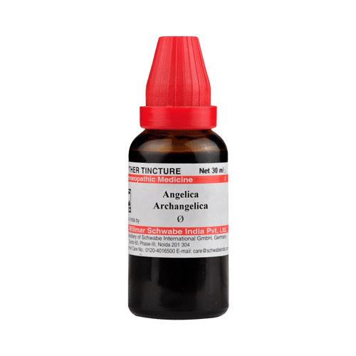 Dr Willmar Schwabe India Angelica Archangelica Mother Tincture Q