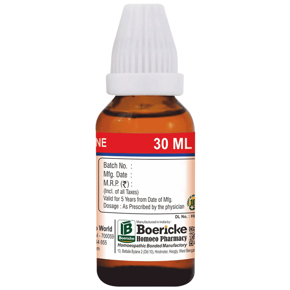 Dr. Majumder Homeo World Brahmi Dilution (30 ml Each) 10M