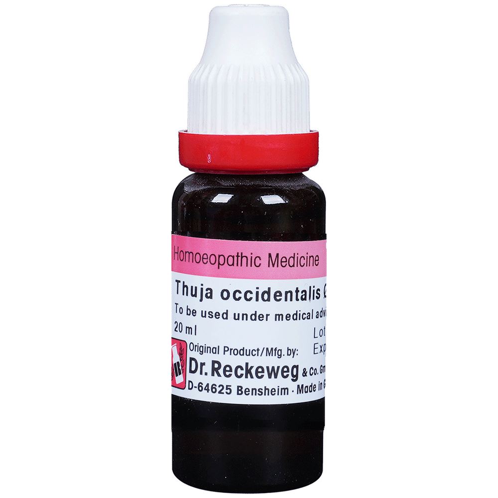 Dr. Reckeweg Thuja Occi Mother Tincture Q