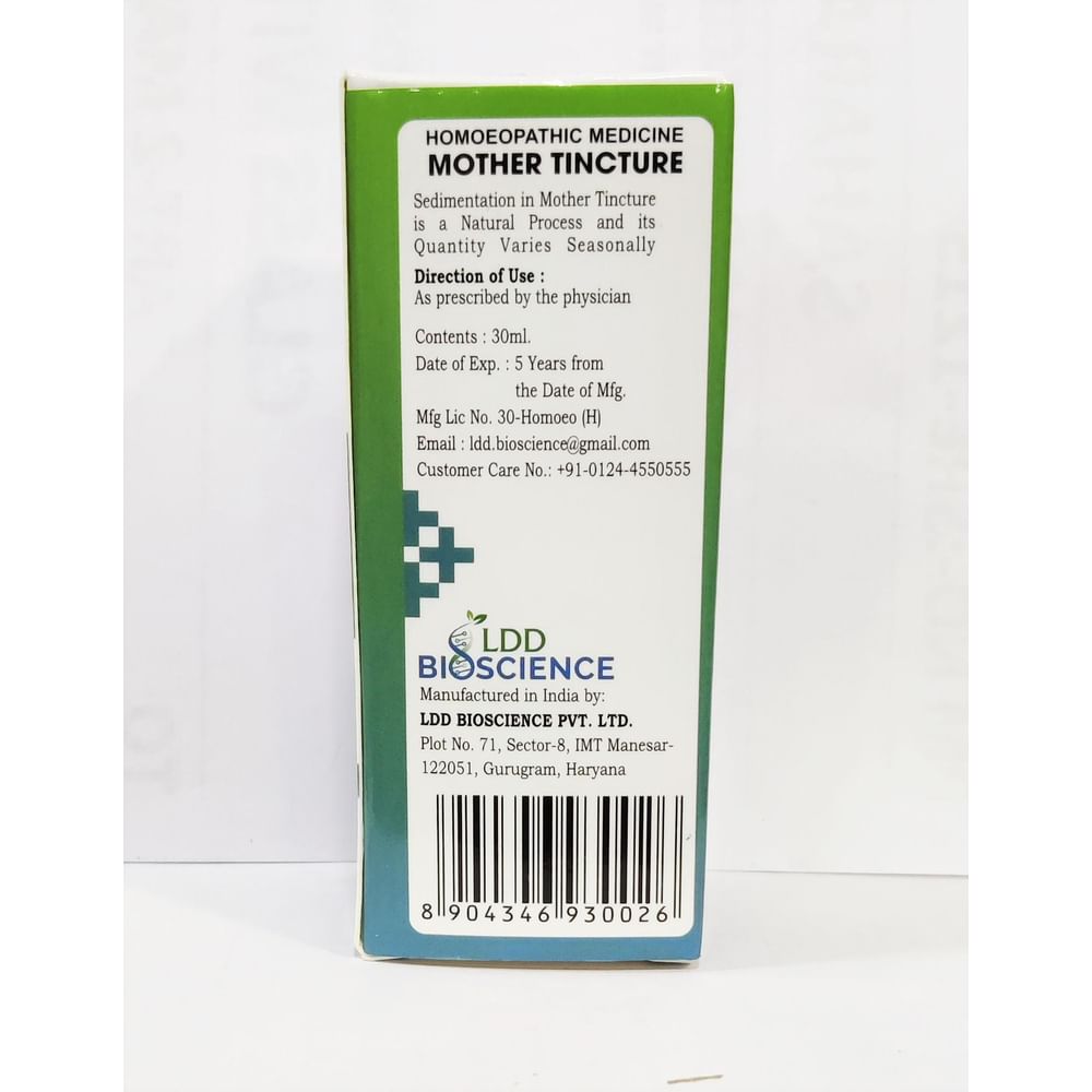 LDD Bioscience Ficus Indica Mother Tincture Q