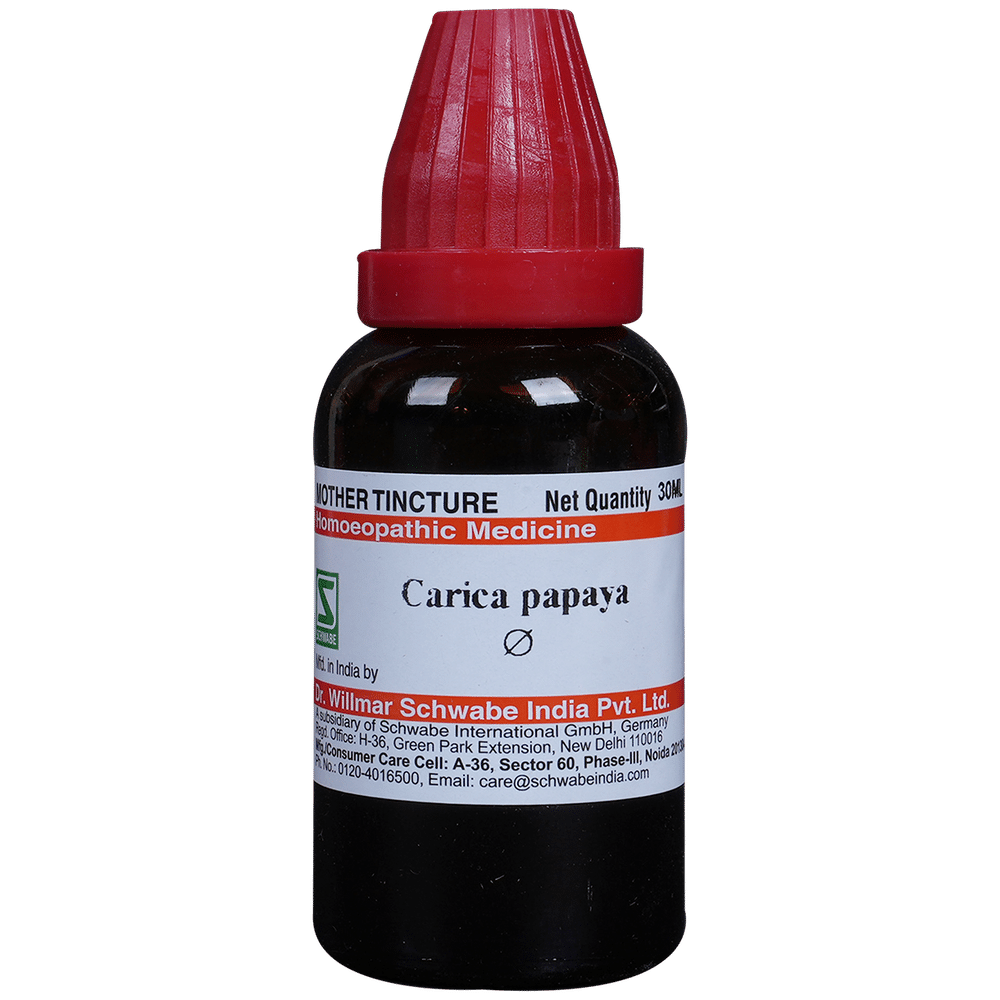 Dr Willmar Schwabe India Carica Papaya Mother Tincture Q