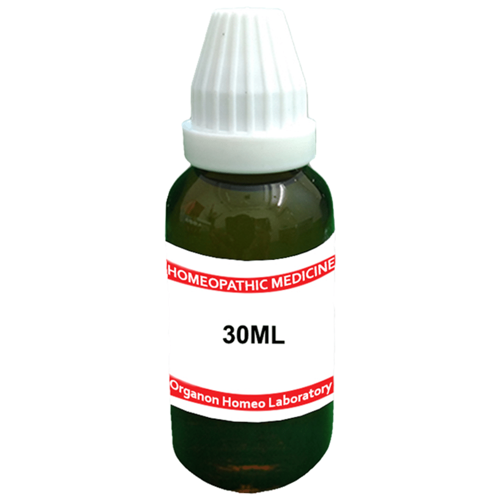 Organon Pulsatilla Dilution 200