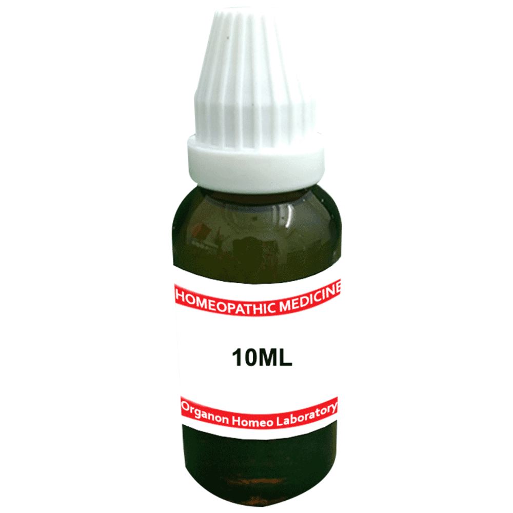 Organon Arnica Mont Mother Tincture Q