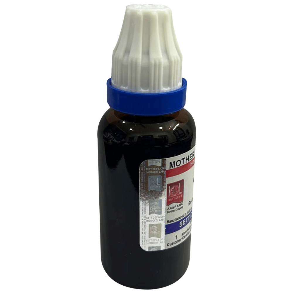 Sett Dey Blumea Odorata (Kuksima) Mother Tincture