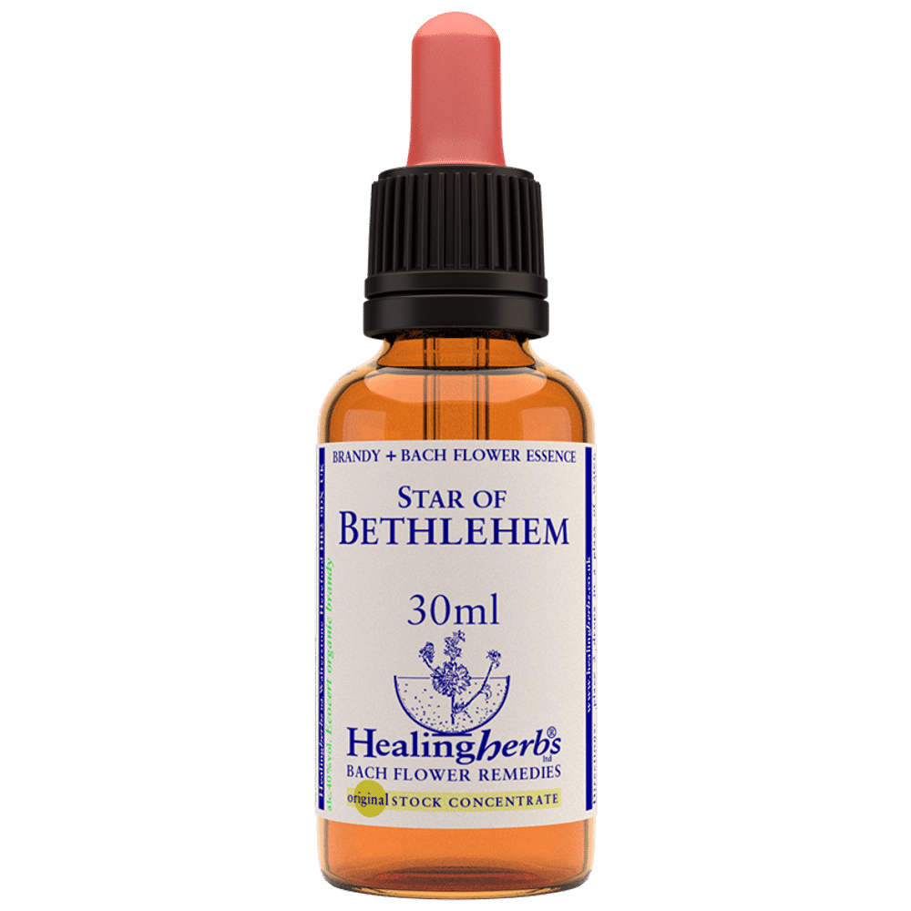 Healing Herbs Bach Flower Star of Bethlehem