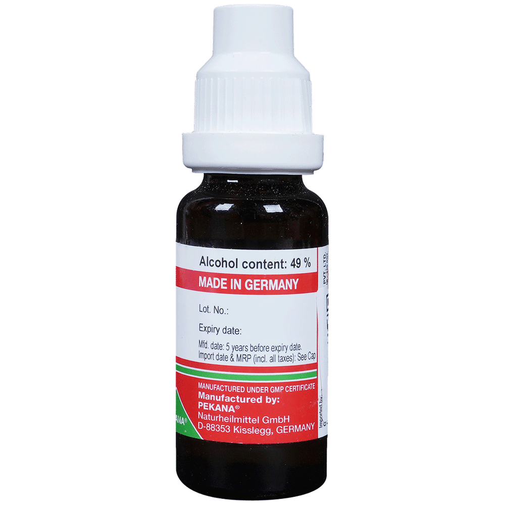 ADEL Sabal Serr Mother Tincture Q