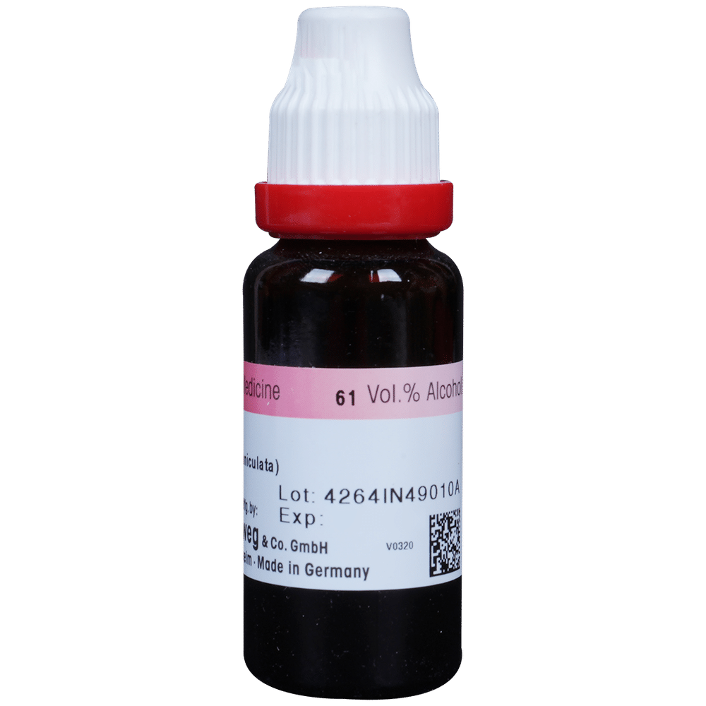 Dr. Reckeweg Kalmegh Mother Tincture Q