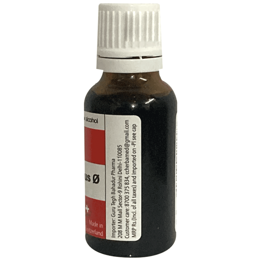 Herbamed Chionanthus virginica Mother Tincture Q