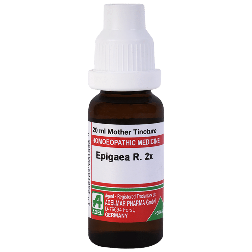 ADEL Epigaea R Mother Tincture 2X