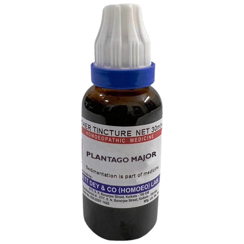 Sett Dey Plantago Major Mother Tincture Q